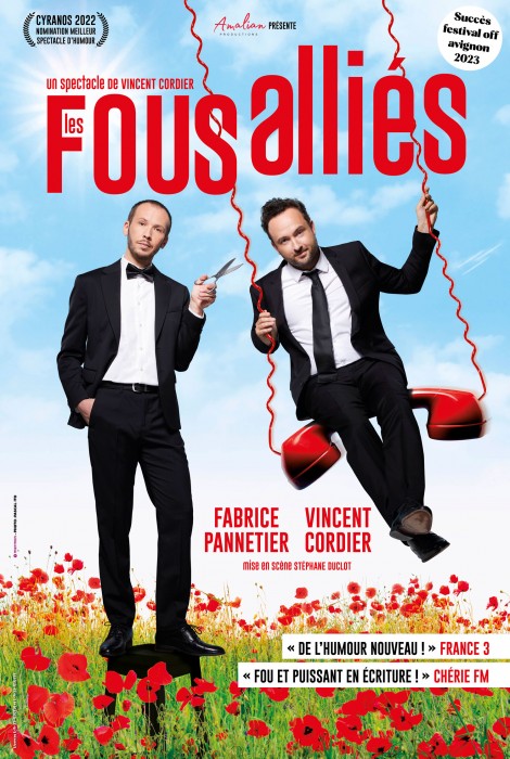 affiche Les fous alliés